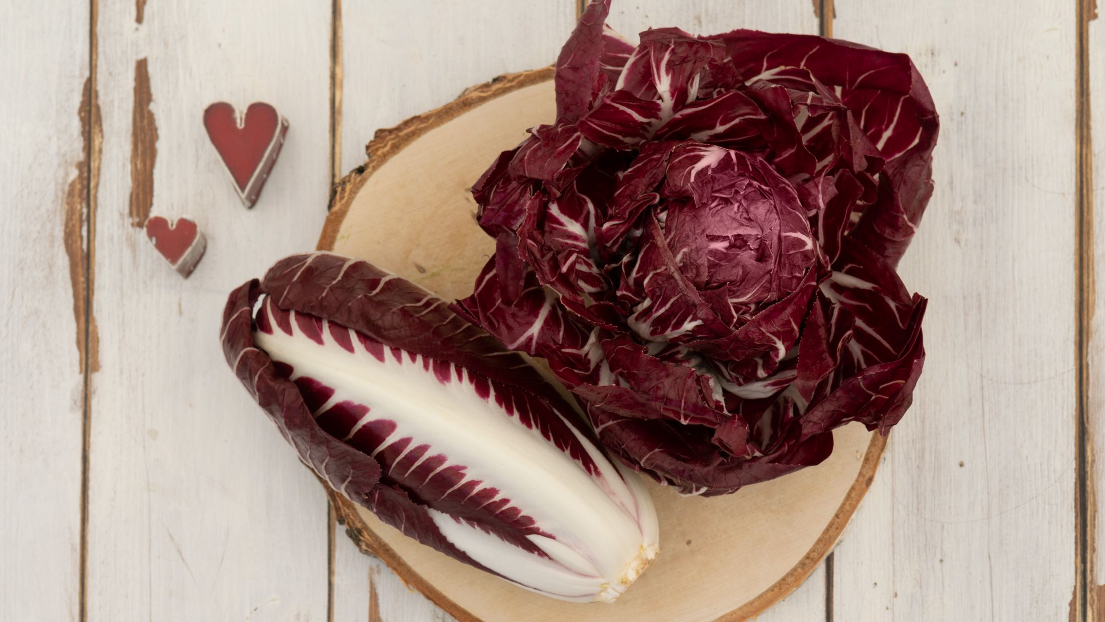 Radicchio Rot